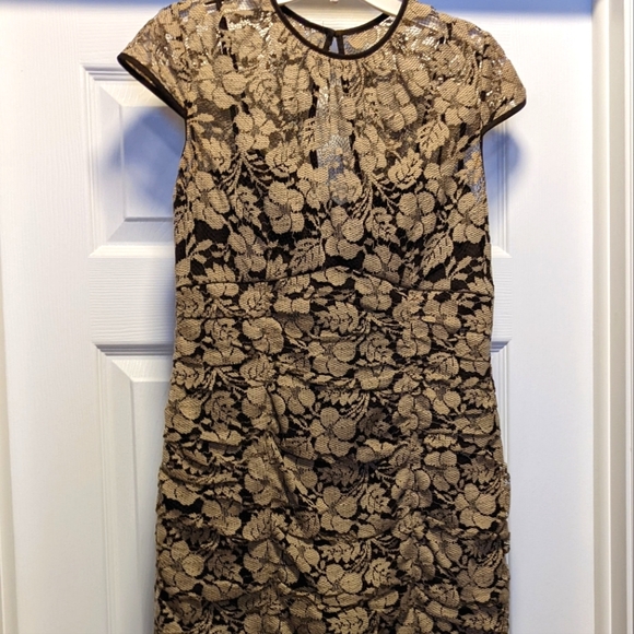 Adrianna Papell Size 4 Dress, Brown with Eggshell Floral Lace Overlay - Picture 1 of 4